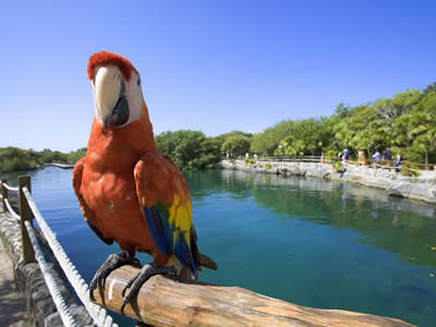 Cozumel, Mexican Caribbean